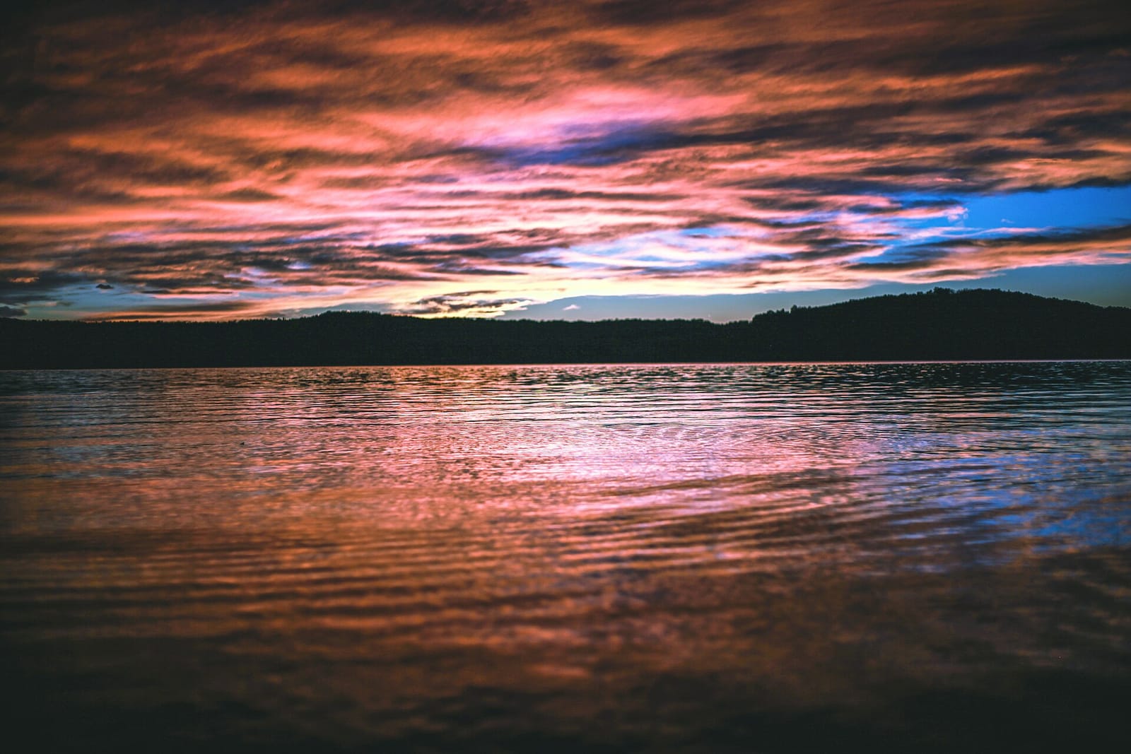 Branson / Table Rock Lake — Explore Branson with convenient golf cart rentals for easy local travel.